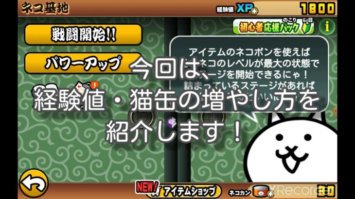 にゃんこ大戦争 チート Xp 猫缶の増やし方 カンスト にゃんこ大戦争 攻略動画まとめ