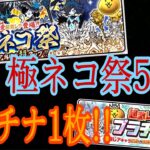 【にゃんこ大戦争】極ネコ祭52連＋プラチナガチャ1枚!!