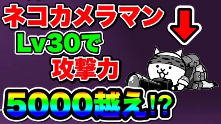 【にゃんこ大戦争】Lv30で攻撃力5000超え！？壁兼攻撃役としても強いネコカメラマンについて徹底解説！