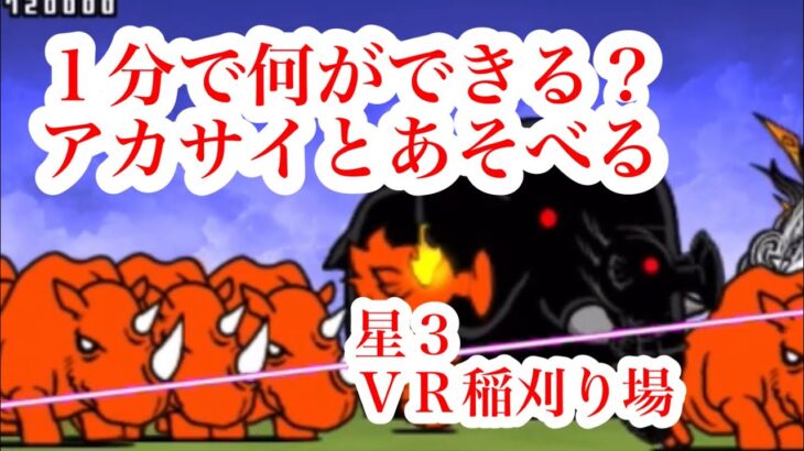 星３　シンギュラリティ村　VR稲刈り場　1分で何ができる　アカサイとあそべる　レジェンドステージ　にゃんこ大戦争