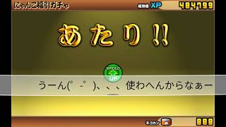 にゃんこ大戦争　「ガチャ」「ねこ道場」