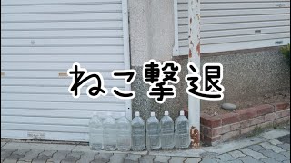 【にゃんこ大戦争】脱！初心者！！そのための日本編攻略【攻略動画】