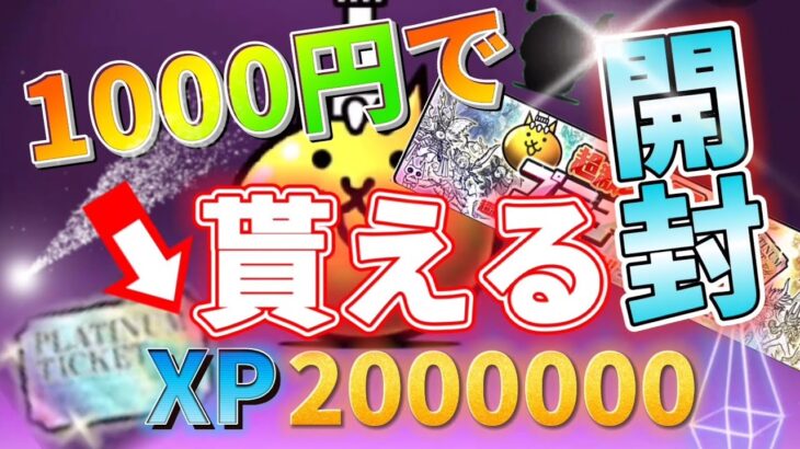 【にゃんこ大戦争】XP200万プラチナチケット×1の超お得パック買ってプラチナガチャ引いてみた！！！