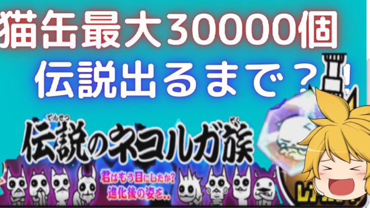 pt6【最大300連？】伝説のネコルガ族伝説出るまで引いてみた結果？！『ゆっくりたちのおかうえ保護の旅』