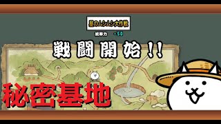 にゃんこ大戦争 ネコの秘密基地発見！どんな虫がいるかな？ねこのなつやすみ