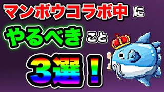 【にゃんこ大戦争】やらなきゃ”絶対”に損！マンボウコラボ中に”やるべき”こと”3選！やるだけでかなり得をする⁉︎【にゃんこ大戦争初心者】