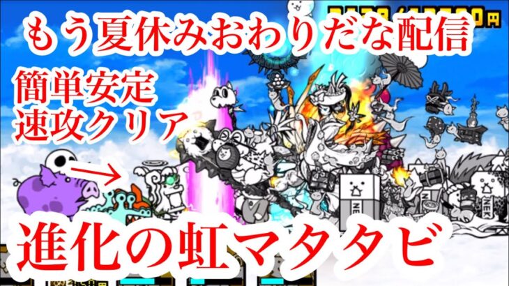 にゃんこ大戦争　攻略 進化の虹マタタビ3 奇跡の虹彩種　極彩色の真実　虹マタタビの種 TheBattleCats　チャンネル登録お願いね　Please subscribe to the channel