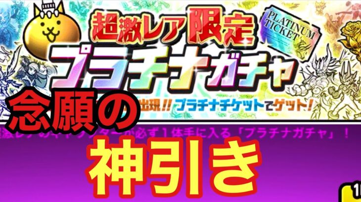 にゃんこ大戦争　乱暴者の番人　《プラチナガチャ引いてみた！》　念願の…⁉︎