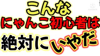 こんなにゃんこ初心者はいやだ