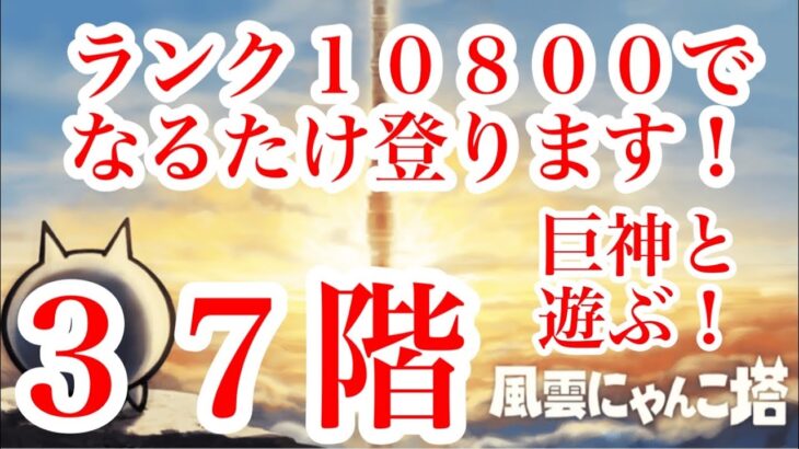 にゃんこ大戦争　攻略　 風雲にゃんこ塔　37階　巨神と遊ぶ　ランク1万　2021年夏　The Battle Cats　チャンネル登録グッドボタンお願いね　subscribe! 　thumbs up!