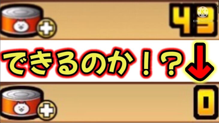 ネコカンの数を0個にしようとしたやつの衝撃の結末【にゃんこ大戦争】