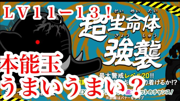 にゃんこ大戦争　攻略　超生命体強襲　Lv.11 12 13　ジャイアント黒蔵　特性本能玉!?  うまい？EXステージ!どこ？　チャンネル登録お願いね　subscribe!　TheBattleCats