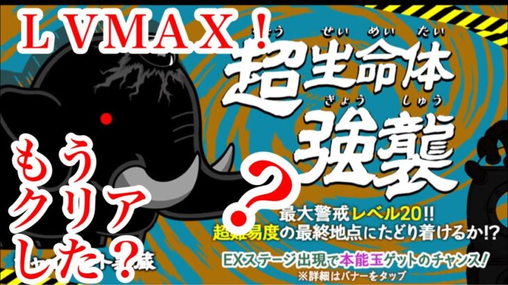 にゃんこ大戦争　攻略　超生命体強襲　Lv.MAX　ジャイアント黒蔵　特性本能玉!?  うまい？EXステージ!どこ？　チャンネル登録お願いね　subscribe!　TheBattleCats