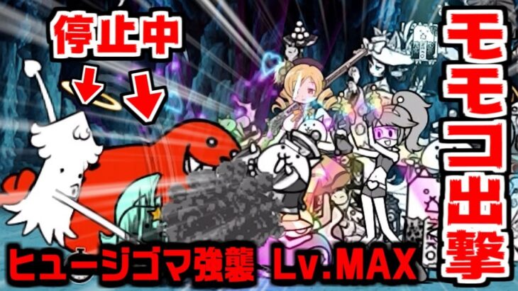 【にゃんこ大戦争】初登場！モモコ出撃でヒュージゴマ強襲クリアなるか！？【本垢実況Re#1259】