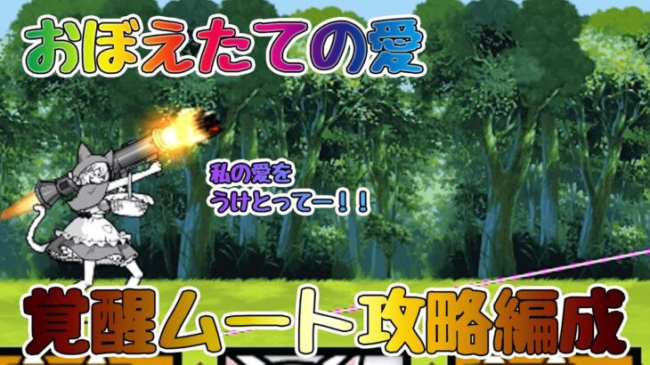 【初心者・中級者】脆弱性と弱酸性「おぼえたての愛」ミーニャをふるぼっこ！ムート攻略編成【🐈にゃんこ大戦争】【🐈The Battle Cats】