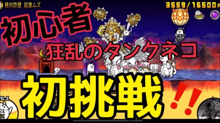 [にゃんこ大戦争、初心者、無課金] 狂乱のタンクネコ、初挑戦！初心者がやってみたら、こうなった…？！