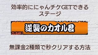 【無課金必見】このステージを秒殺してにゃんこチケットを効率的に増やそう！