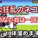 【にゃんこ大戦争】大狂乱のネコ勝てない人！一回見にこい！