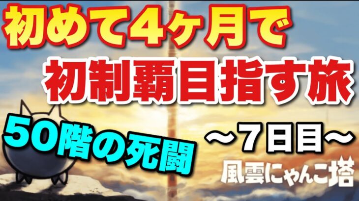 【実況にゃんこ大戦争】初めて4ヵ月で風雲にゃんこ塔制覇目指す配信者の大冒険～７日目～「５０階の死闘」