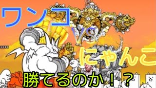 倒してみせる！初心者のやるにゃんこ大戦争【にゃんこ大戦争】【にゃんこ初心者の道】