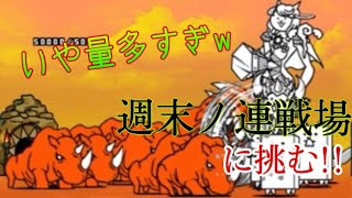 なんだろう、ザコ敵が強くなるのやめてもらっても良いですか？【にゃんこ大戦争】【にゃんこ初心者】