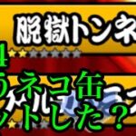 にゃんこ大戦争　攻略　星4　脱獄トンネル　実刑判決　ハリートンネル 夜のしじま　落とし穴地帯 大脱走　チャンネル登録お願いね　subscribe!