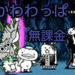 絶かわわっぱ　無課金6枠【にゃんこ大戦争】