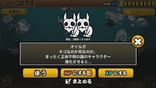 【にゃんこ大戦争】無課金勢にはきついぜ