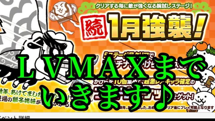 にゃんこ大戦争　攻略　続1月強襲！　ＬＶMAXまで　いきます♪　チャンネル登録お願いね　subscribe!　TheBattleCats