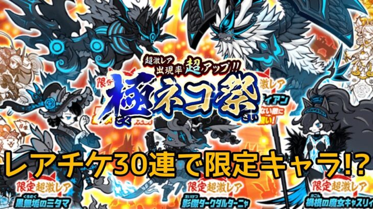 限定キャラ！？「極ネコ祭」30連【にゃんこ大戦争】