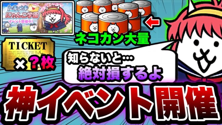 【にゃんこ大戦争】最大ネコカン”600個以上”ゲットのチャンス⁉︎トキメキにゃんこ学園イベントを徹底解説！【にゃんこ大戦争初心者】