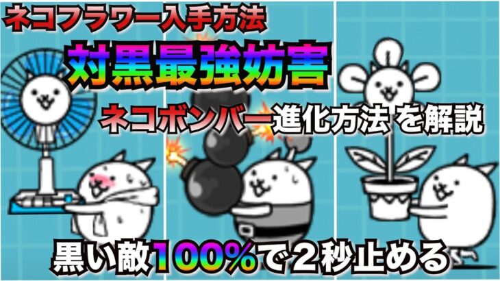 【にゃんこ大戦争】ねこフラワー入手方法とねこボンバー進化方法を解説！！【最強のEX妨害】