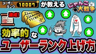 【にゃんこ大戦争】ユーザーランク”10000”が教える”効率的”なユーザーランクの上げ方を徹底解説！【にゃんこ大戦争初心者】