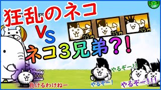 暗黒憑依　　狂乱のネコ　VS ネコ3兄弟？！　【にゃんこ大戦争】