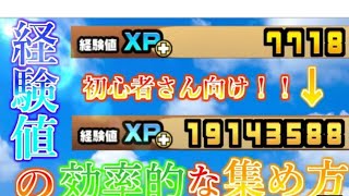 【にゃんこ大戦争】初心者向け！経験値についてゆっくり解説！