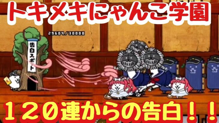 【にゃんこ大戦争】トキメキにゃんこ学園ガチャ１２０連からの告白へ！まさかの結果に！？