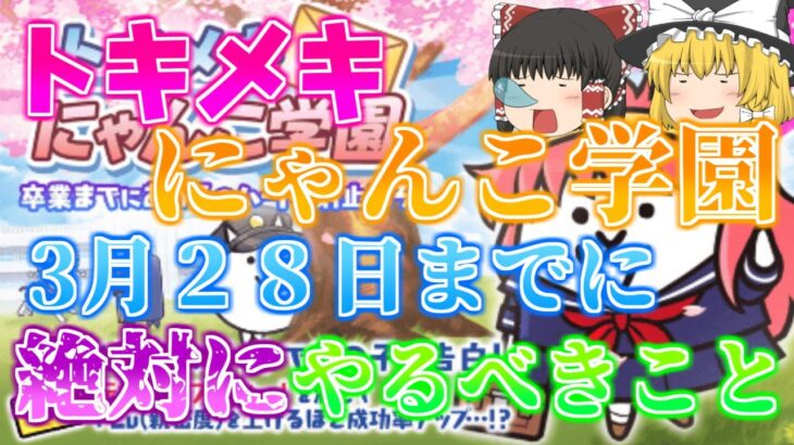 【にゃんこ大戦争】トキメキにゃんこ学園イベントで絶対にやるべきこと！！全員がやることからやらなくてもいいことまで分かりやすく解説！！【にゃんこ大戦争初心者講座】