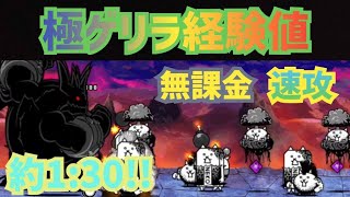 無課金で極ゲリラ経験値速攻 約1:30【にゃんこ大戦争】