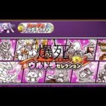 にゃんこ大戦争9.5周年でゲットした猫缶でで11連