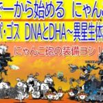 にゃんこ大戦争　ガラ・パ・ゴス　DNAとDHA～異星生体調査団