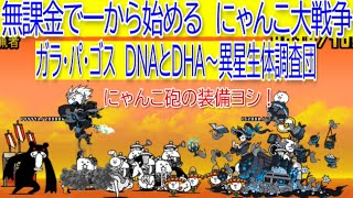 にゃんこ大戦争　ガラ・パ・ゴス　DNAとDHA～異星生体調査団
