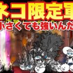 【実況にゃんこ大戦争】超ネコ限定軍団で6月強襲攻略「小さくても強いんだ」