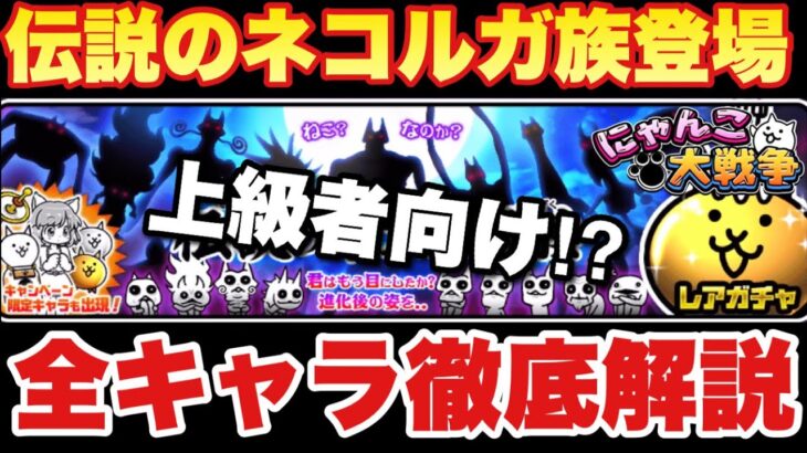 【実況にゃんこ大戦争】伝説のネコルガ族ガチャ登場！「これは上級者向けなのか！？全キャラ解説」リセマラ勢必見