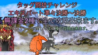 【タッグ闘技チャレンジ】エキスパートを無課金キャラ2種で全ステージ攻略【にゃんこ大戦争】