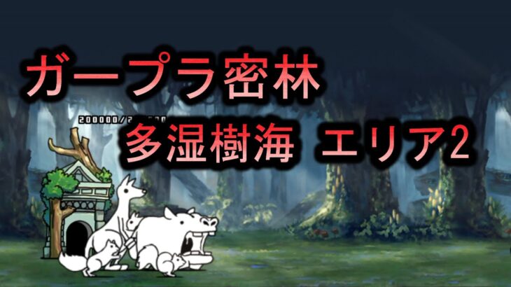 ガープラ密林 多湿樹海 エリア2【にゃんこ大戦争】