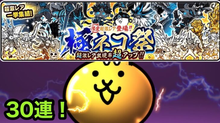 【にゃんこ大戦争】極ネコ祭 黒キャス狙いで30連！