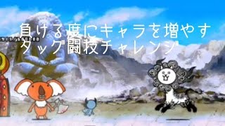 無課金にゃんこ大戦争part1213【負ける度にキャラを増やすタッグ闘技チャレンジ】