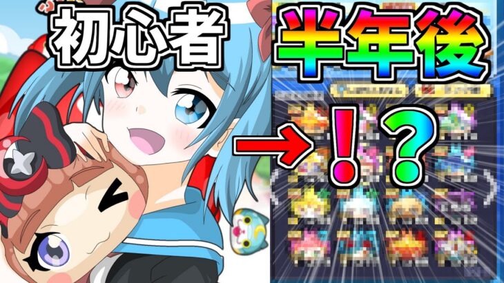 ぷにぷに初心者が半年間本気でやってみた結果！！【ぷにぷに】【ゆっくり実況】