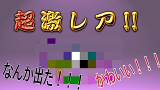 にゃんこ大戦争 極ネコ祭ガチャ レアチケ回していくぞ！【極ネコ祭ガチャ1】