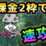 開眼のちびネコノトリ   まさかの無課金2枠＆ノータップ速攻？　にゃんこ大戦争